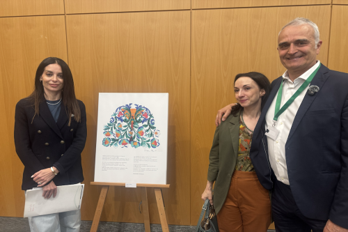 Palazzo Lombardia celebra Diana Stanga con dieci o...